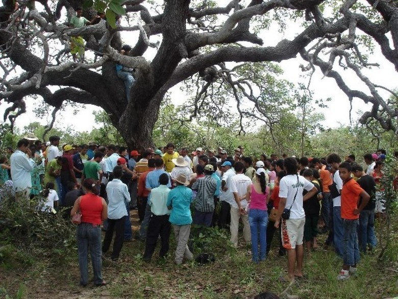 Na semana do Cerrado, Movimento Geraizeiro realiza atividades de mobilização pela proteção do bioma
