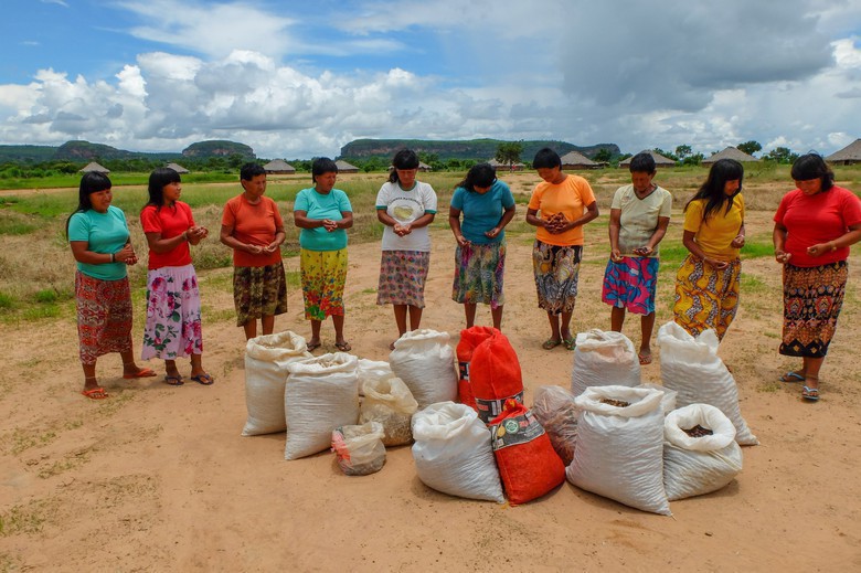 Time do DGM Brasil visita subprojetos indígenas