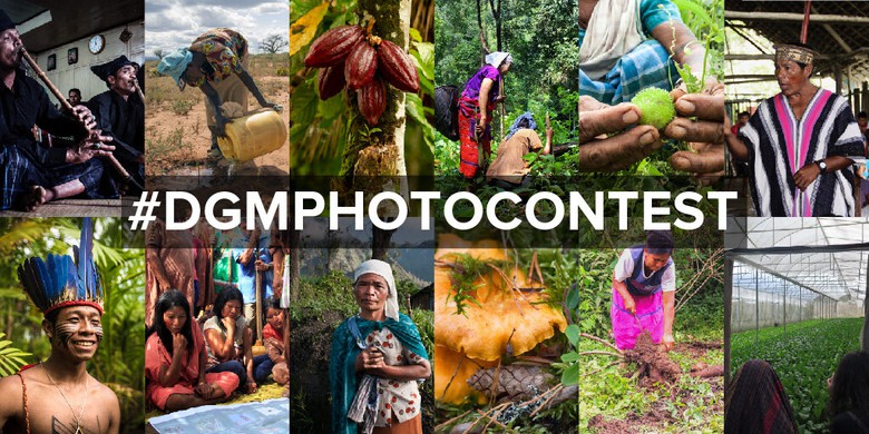 DGM Brasil é premiado em concurso Internacional de Fotografia