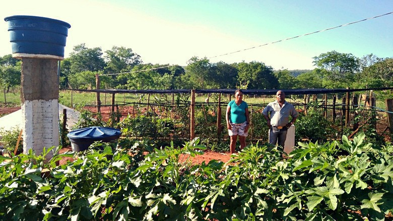 Quintal produtivo e cisternas mudam vida e paisagem nos municípios do Norte de Minas