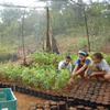 Crianças ajudando a preservar a biodiversidade